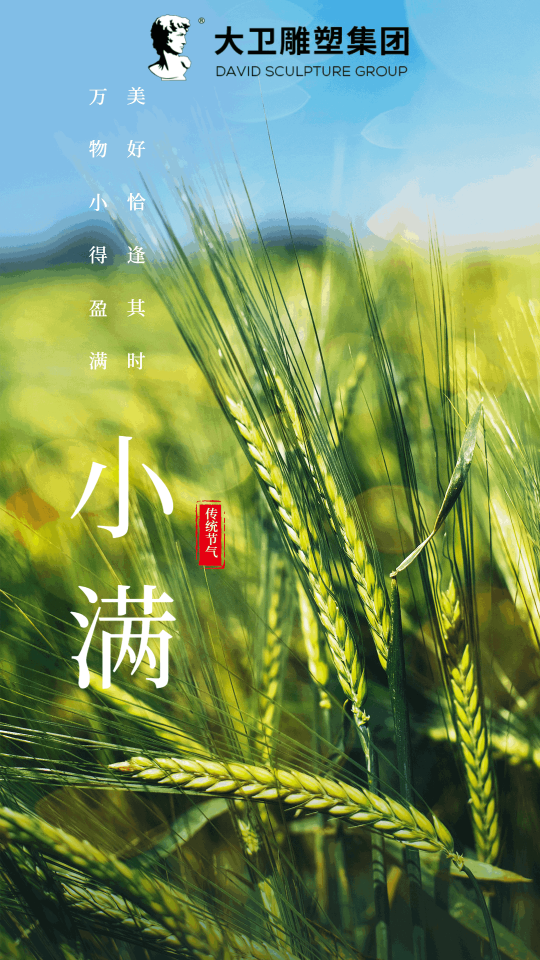 小(xiǎo)滿時節：麥穗盈滿，豐收在望